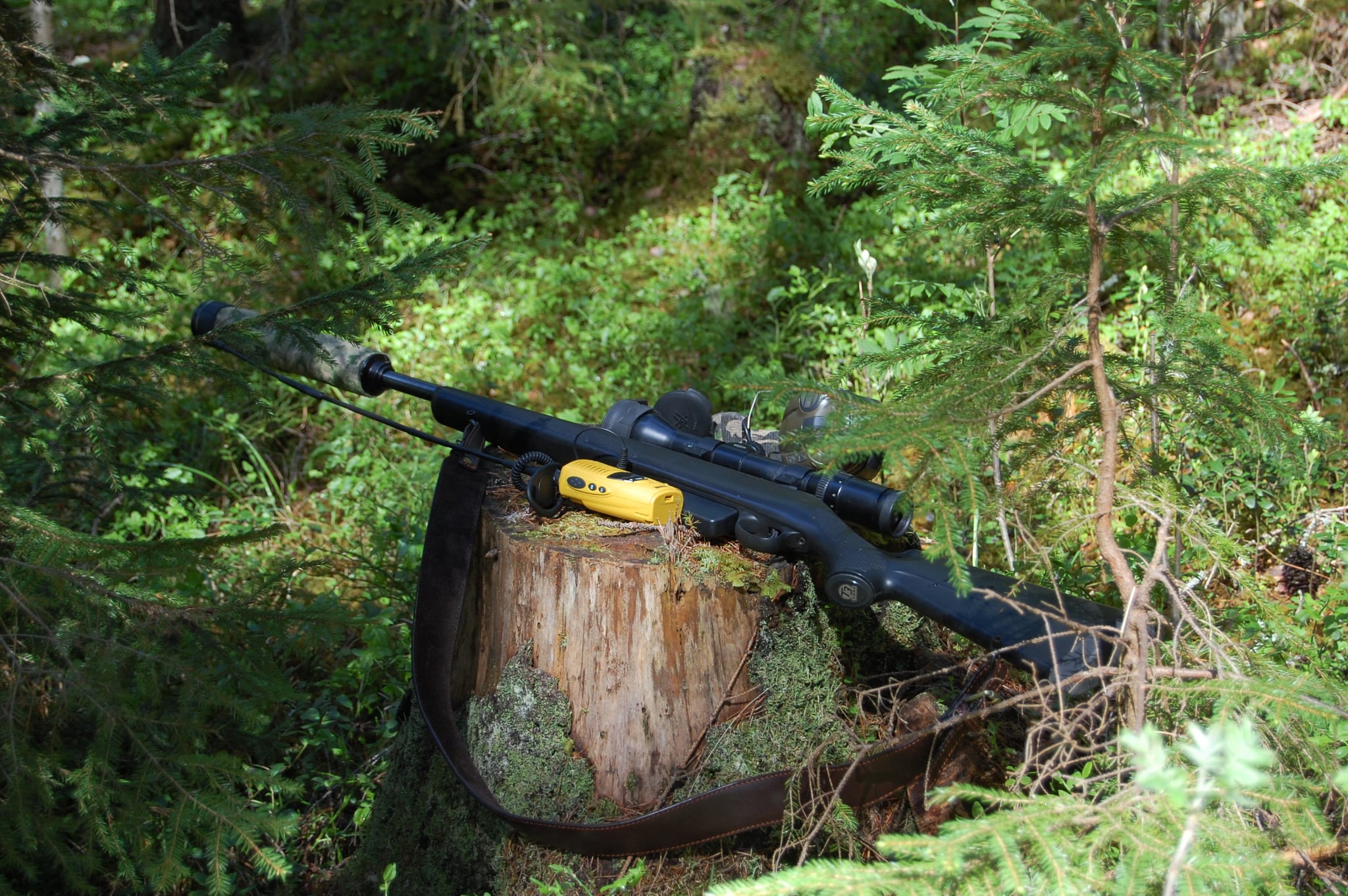 Ett svart jaktgevär och en gul komradio ligger på en stubbe omgivet av mossa i skogen.